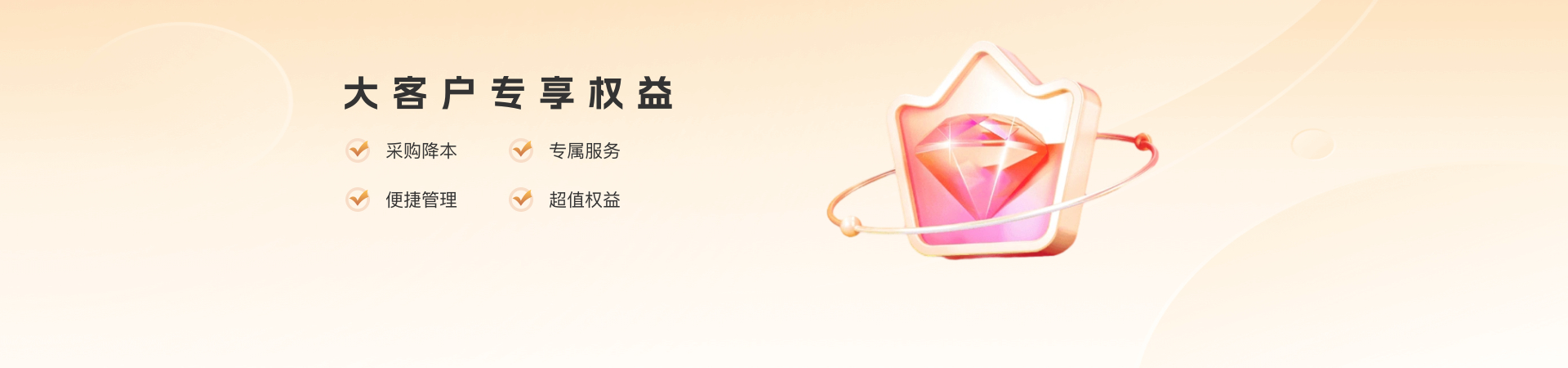 大客户专享权益